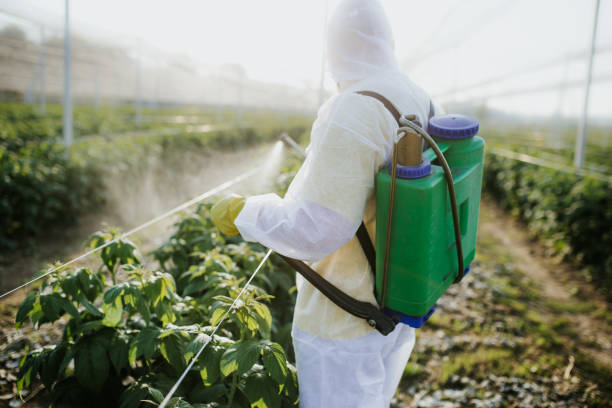 Insect Control in Stony Point, MI